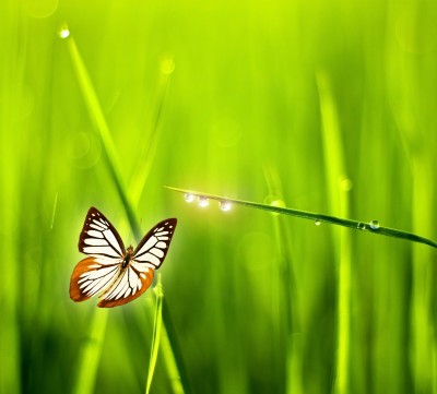 Have a Little Faith by Susanne Kempken