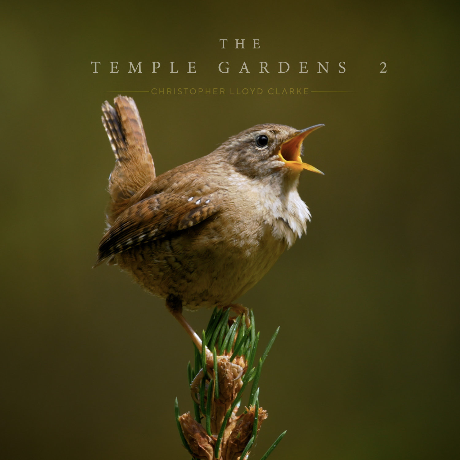 The Temple Gardens Volume 2 - Meditation Music by Christopher Lloyd Clarke